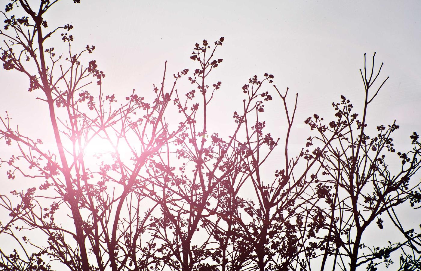Führungskraft bei einer Präsentation
