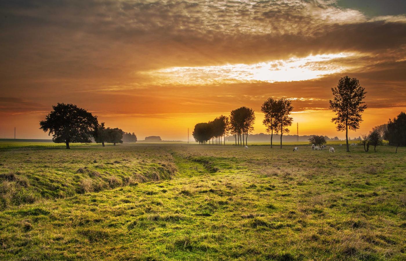 Porträtfoto von Julia Wagner